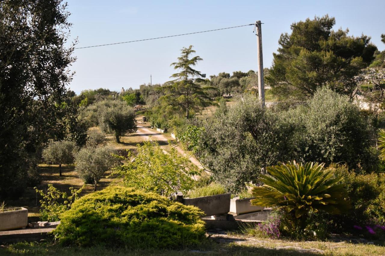 Terre D'Amore - For Couples Hotel Ostuni Kültér fotó
