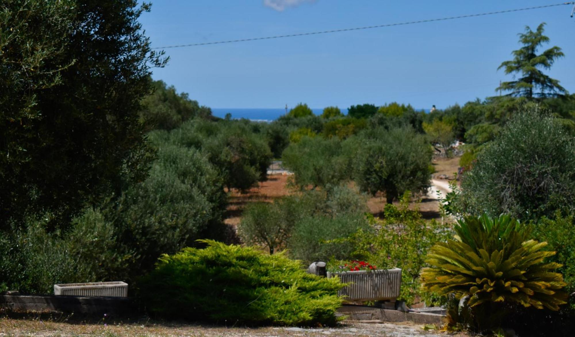 Terre D'Amore - For Couples Hotel Ostuni Kültér fotó