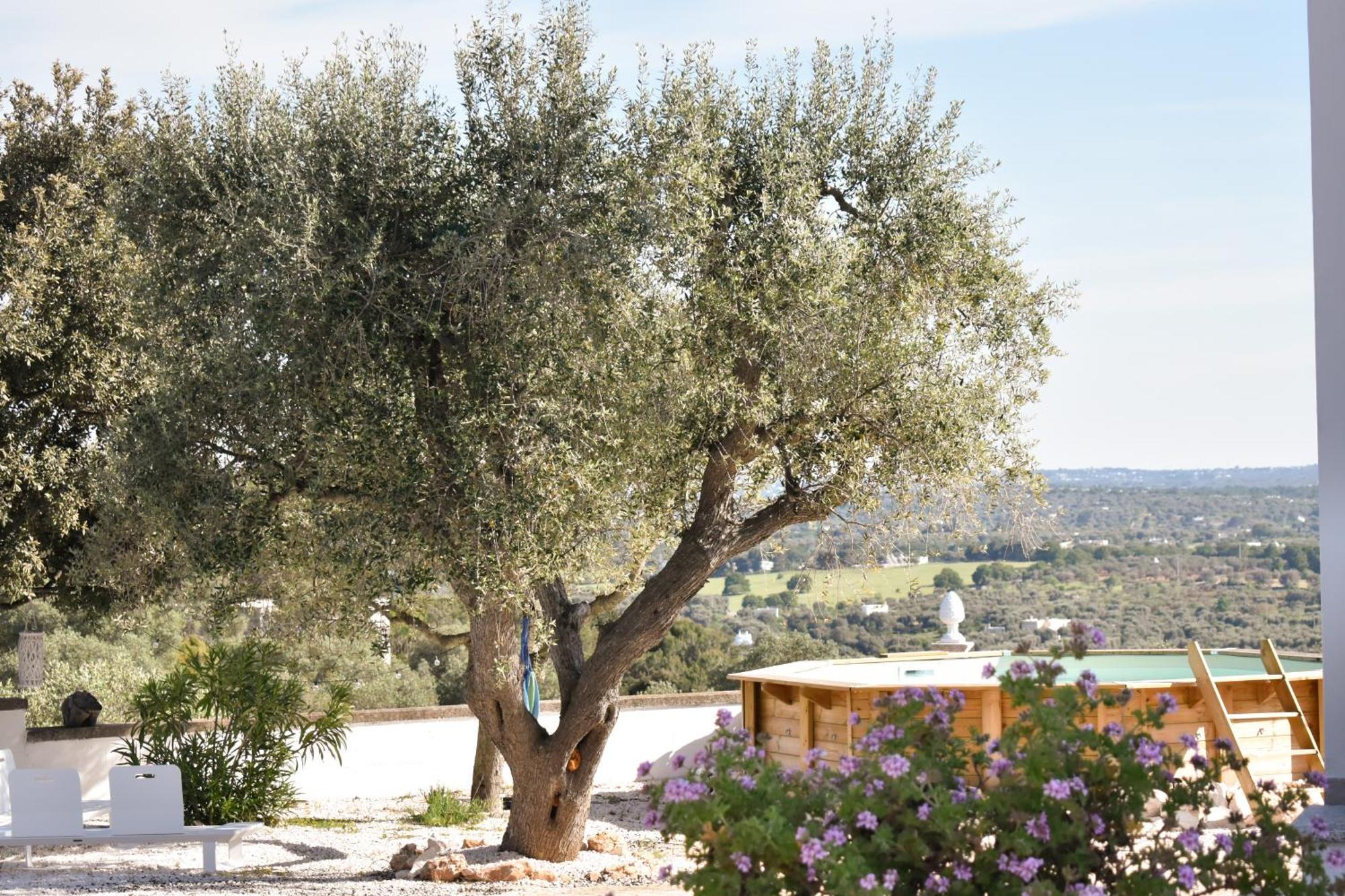 Terre D'Amore - For Couples Hotel Ostuni Kültér fotó