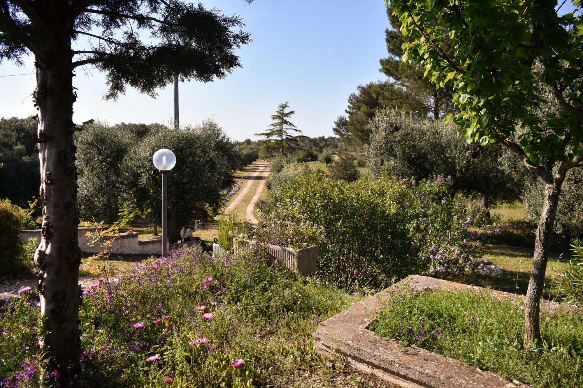 Terre D'Amore - For Couples Hotel Ostuni Kültér fotó